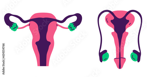 Female male man woman internal organ reproductive system abstract concept. Vector flat graphic design illustration
