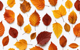 Leaves in warm fall colors like orange, yellow, brown and red. Isolated on a white background. Concept of fall season. Repeatable pattern.