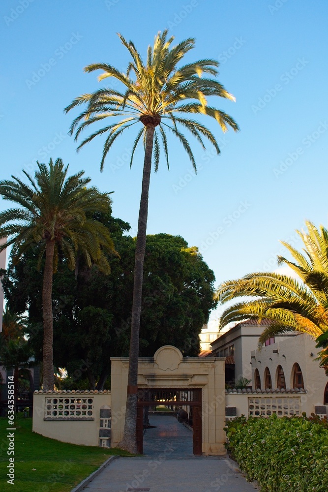 Main gate with a tall palm tree at Doramas Park (Parque Doramas), in Las Palmas de Gran Canaria, Spain
