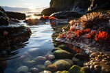 Nature's Daybreak Symphony: The Tranquil Tidepool by the Rocky Coast, Reflecting the First Rays of the Sun's Awakening Touch