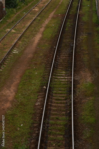 Railroad tracks overgrown with grass