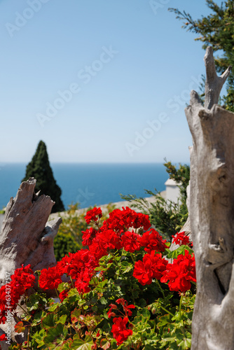 View to Aegean Sea from Monastery of Archangel Michael on Thassos or Thasos Greek Island summer destination photo