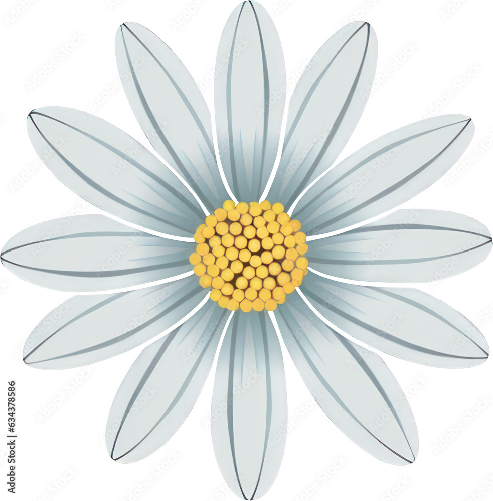 Beautiful clip art illustration of a white daisy flower against a ...