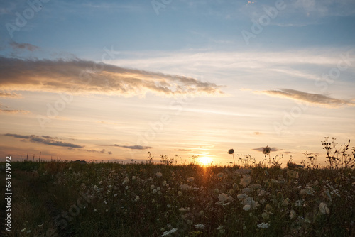 Meadow and clouds at sunset in summer.