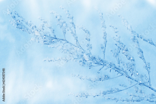 Fototapeta Naklejka Na Ścianę i Meble -  Blurred frozen grass. Winter abstract background. Landscape.