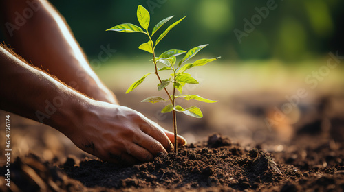 Person planting trees in a community garden, showcasing the spirit of volunteering and environmental conservation. Eco friendly practices, organic farming, and outdoor activities.
