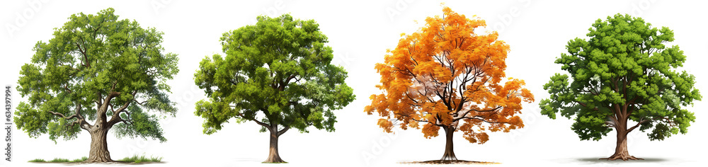 Collection of Isolated Trees. Suitable for use in architectural design or Decoration work. Isolated on transparent background