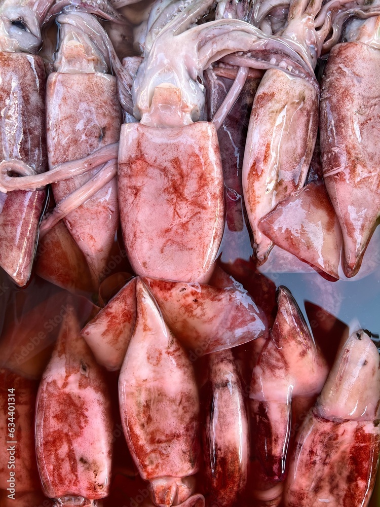 fresh fish on the market