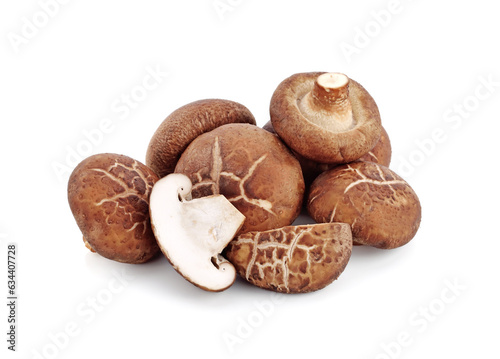 Shiitake mushroom on the White background