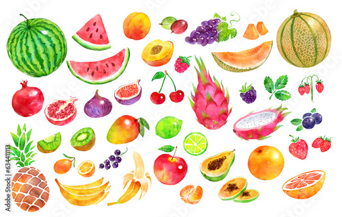 Fototapeta Naklejka Na Ścianę i Meble -  Hand drawn watercolor illustration collection of fruit