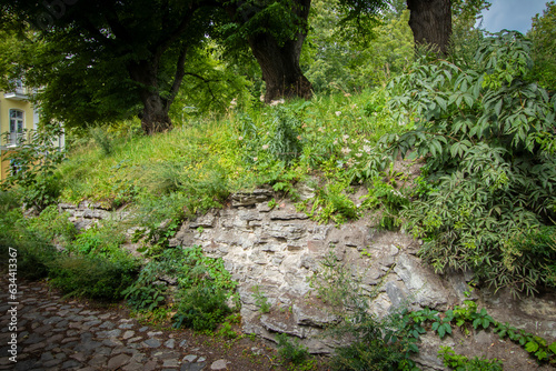 Old broken stone wall in a medieval town and wild nature of green plants taking over the city, copy space