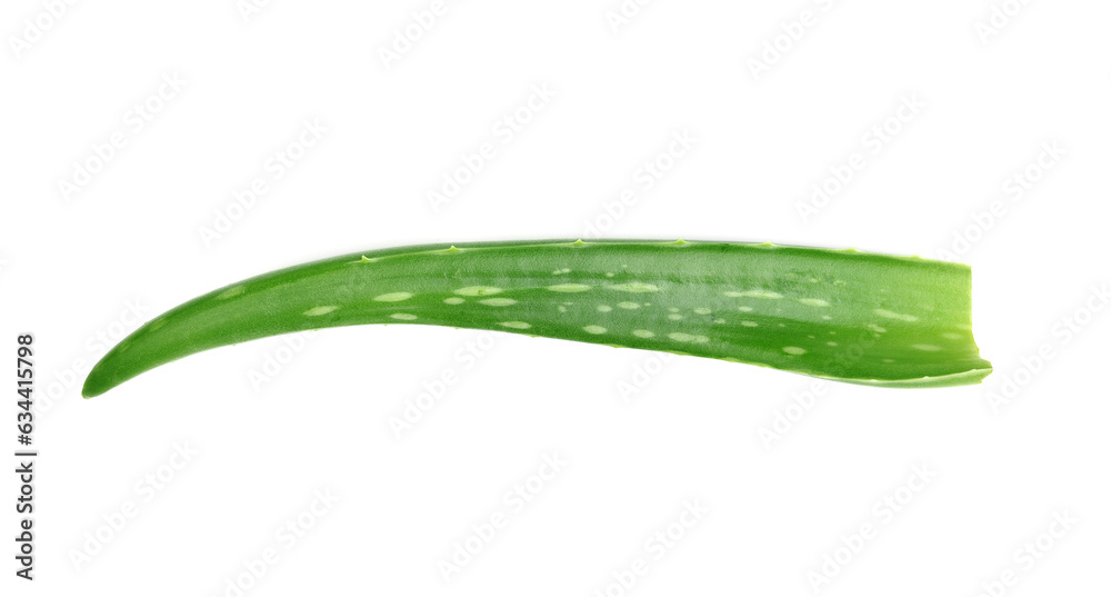 Aloe vera fresh leaf isolated on white background Aloe vera fresh leaf isolated on white background