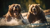 Pair of mighty grizzlies in the water. 