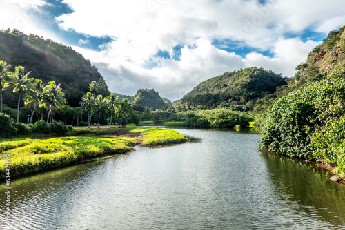 Beautiful river in Waimea bay Valley on oahu island of hawaii photo