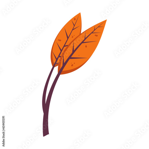 Orange autumn leaves illustration. Cartoon drawing of floral autumnal element, orange leaves, branch. Autumn decoration, nature concept.