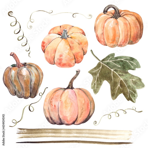 A collection of hand drawn watercolor floral cliparts isolated on a white, not AI. Ripe orange pumpkins, leaves and tendrils. Autumn set, Thanksgiving, Halloween or harvest festival design and decor.