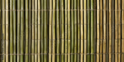 Seamless pattern bamboo texture details for background photo