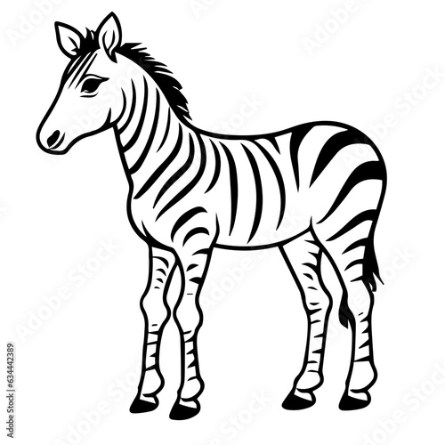 Fototapeta Naklejka Na Ścianę i Meble -  Hand drawn vector coloring page of cartoonish Zebra