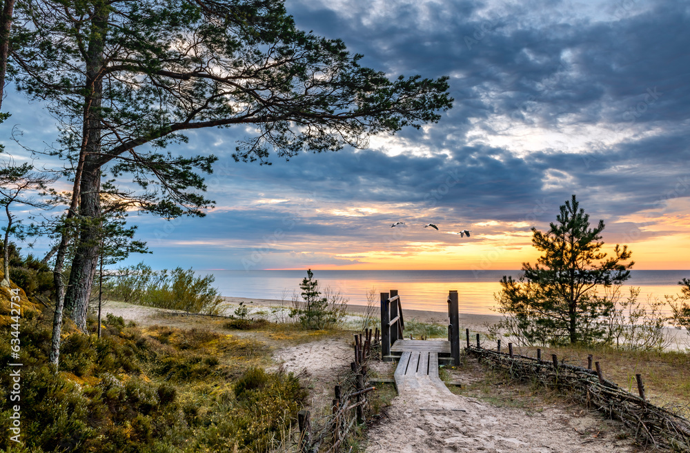 Coastal landscape in Jurmala – famous Latvian tourist resort on the Baltic Sea. Beautiful sand beaches cover more than 26 km of coastline of the Riga gulf - obrazy, fototapety, plakaty 