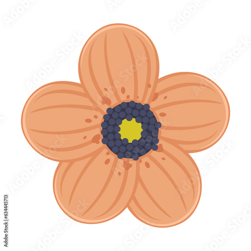 Autumn orange flower flat vector. Drawing of floral autumnal element. Autumn or fall, decoration concept