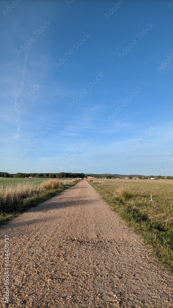 Camino rural