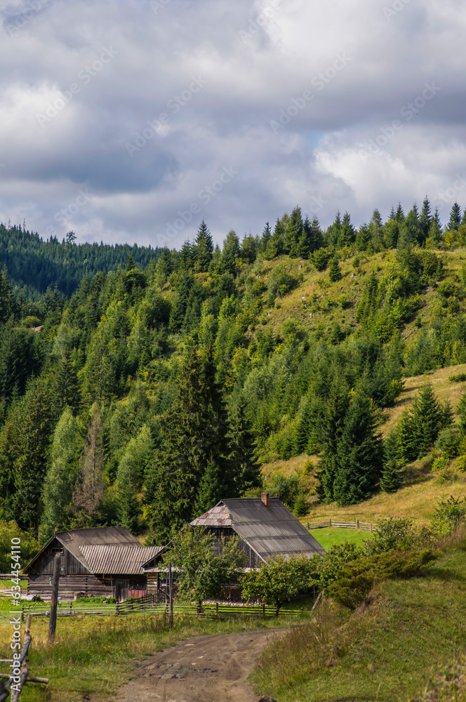 autumn colors of foliage on trees in the Carpathian mountains