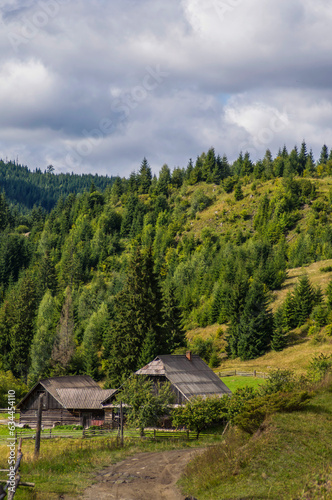 autumn colors of foliage on trees in the Carpathian mountains
