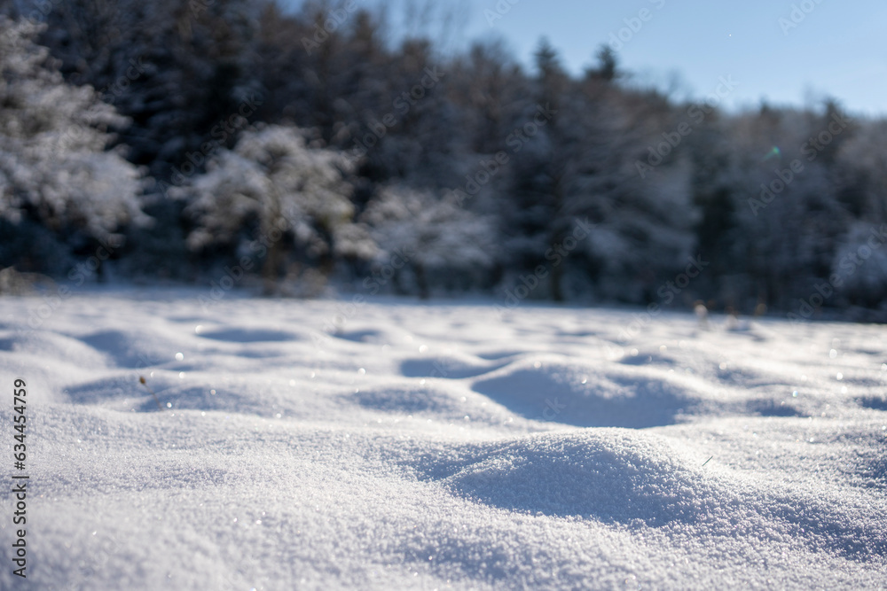 Eine Schneebedeckte Wiese vor einem Wald im Winter, Schwarzwald Eine Schneebedeckte Wiese vor einem Wald im Winter, Schwarzwald