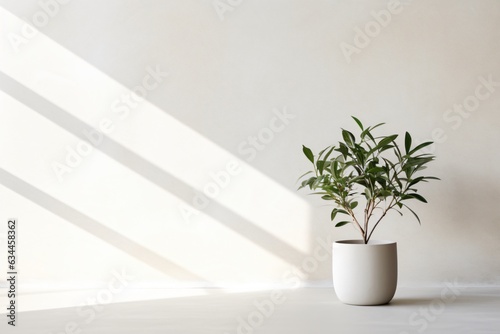 Plant in a room © Maximilian
