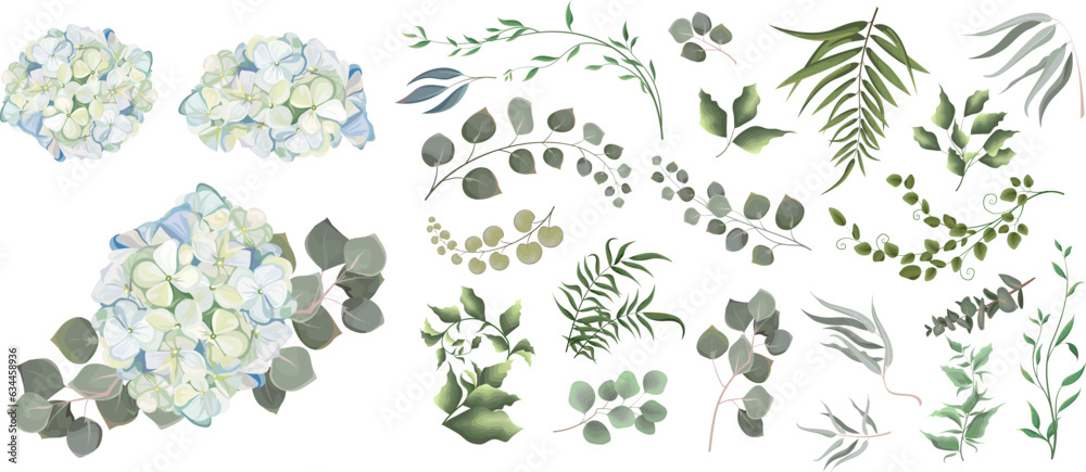 Mix of herbs and plants vector big collection. Green plants and leaves. All elements are isolated. A branch of White-blue hydrangea. . Vector illustration