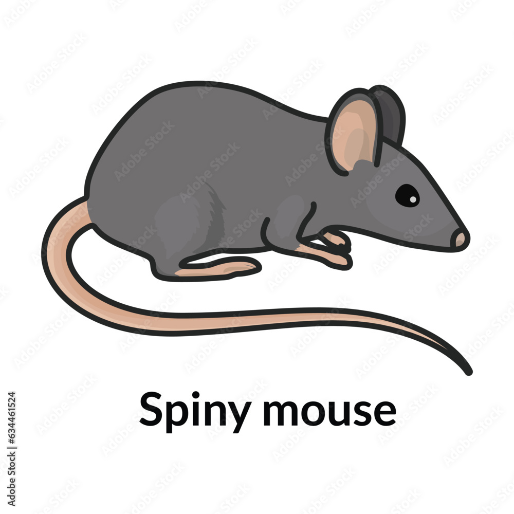 Obraz premium Mouse vector icon.Color vector icon isolated on white background mouse.