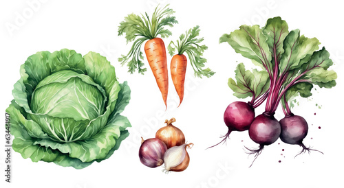 Watercolor vegetable set on a white background: Cabbage, beets, onions, carrots. For borscht