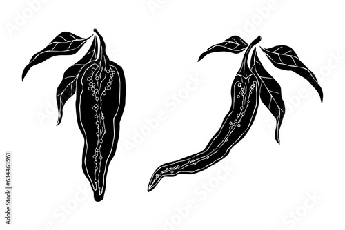 Chili pepper silhouette set. Vector graphics.