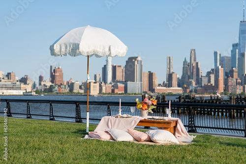 picnic in new york. summer outdoor romance. romantic picnic in summer. luxury picnic dinner. summer picnic in the central park. romantic date in manhattan. summer in nyc