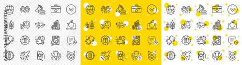 Outline Winner cup, Gluten free and Express delivery line icons pack for web with Global engineering, Plane, Washing machine line icon. First aid, Hold t-shirt, Airplane pictogram icon. Vector