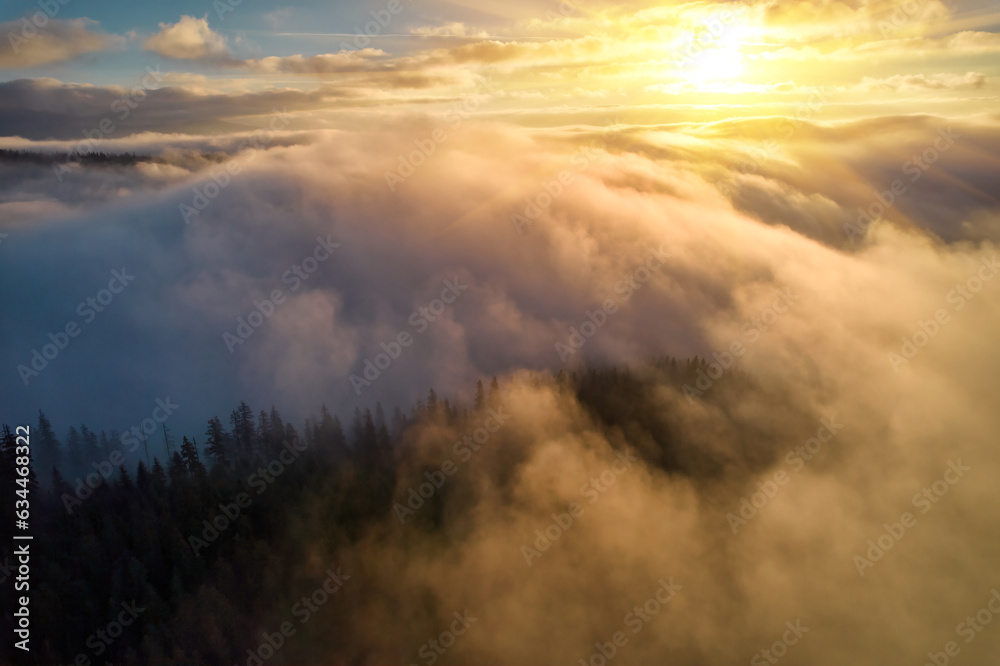 Obraz premium Fog spreads over the mountains at dawn. The sun rises on the horizon. Carpathians in the morning. Aerial drone view.