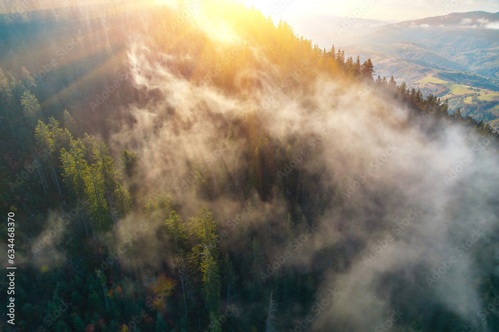 Flight over fog in Ukrainian Carpathians in summer. A thick layer of fog covers the mountains with a continuous carpet. Aerial drone view.