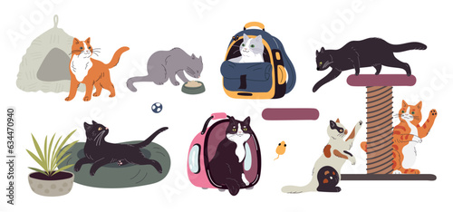 Cat accessories. Domestic animals care veterinary elements. Sun beds for kittens. Feline carriers and scratching posts. Happy pets. Cute kitty in bag. Cozy pillows. Garish vector set