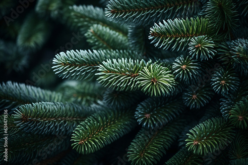 Christmas fern leaf background