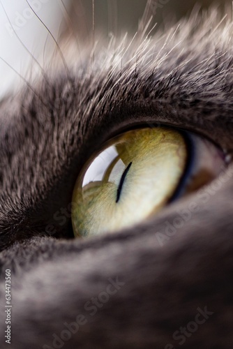 la mirada