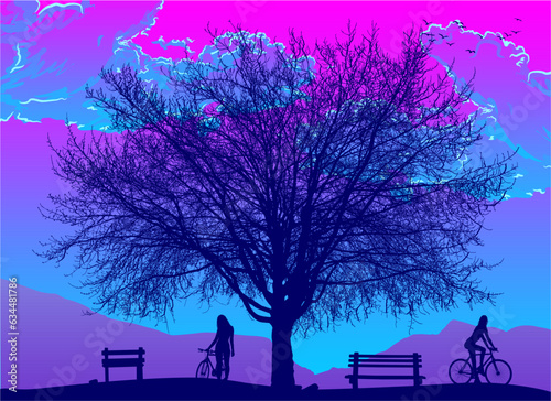 silueta, arbol, bici, banca, atardecer, belleza, grandeza, vector, chica bicicleta