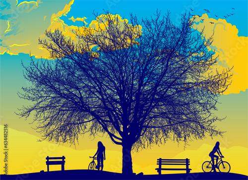silueta, arbol, bici, banca, atardecer, belleza, grandeza, vector, chica bicicleta