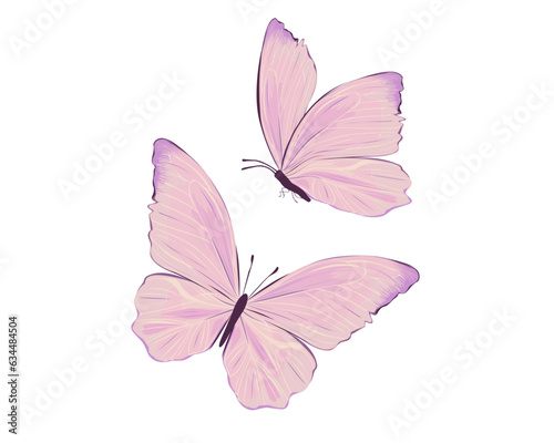 butterfly isolated on white © gltekin