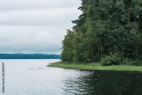 natural landscape  wooded shore of lake with reed banks on a cloudy day