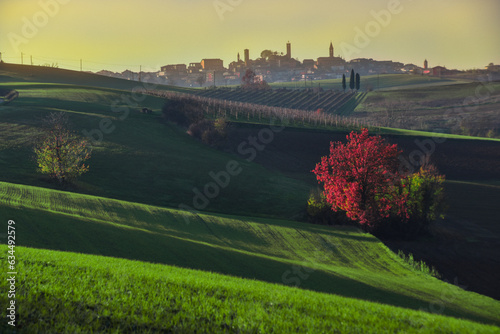 Rolling landscape near Lu Monferrato, Alessandria, Piedmont, Italy