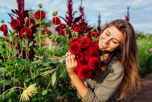 Portrait of smiling gardener holding bouquet of red pompon dahlias in summer garden at sunset. Woman picking flowers.