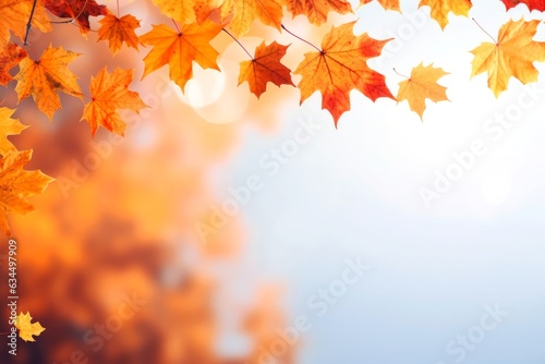 Autumn leaves and blurry trees. Seasonal banner with autumn foliage. Autumn background. Copy space. 