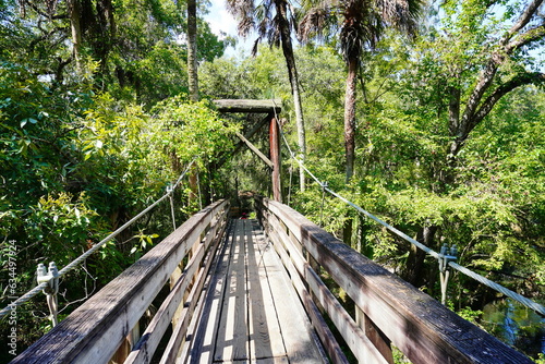 Fototapeta Naklejka Na Ścianę i Meble -  landscape of Hillsborough river state park at Tampa, Florida	
