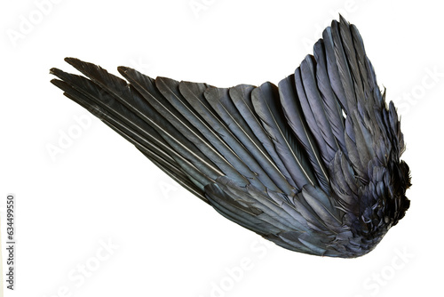 black crow wing with feather texture PNG file