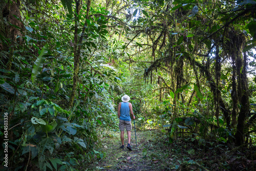 Hike in jungle
